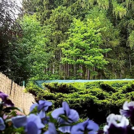 Skalka Homestay Karpacz